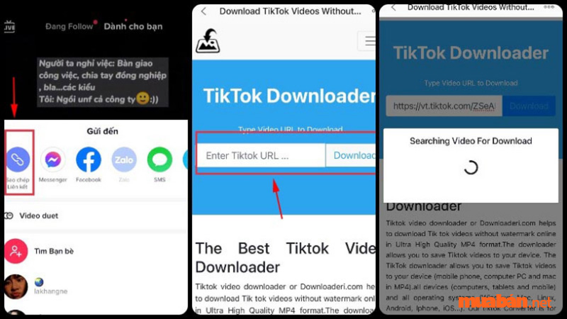 Cách tải video TikTok không logo với Tik Tok Downloader dễ dàng