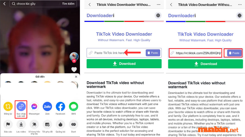 Cách tải video TikTok không logo với Downloaderi