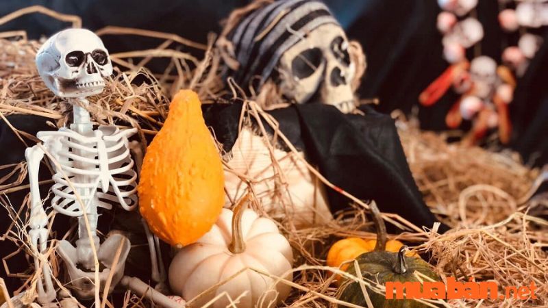 Trang trí Halloween kinh dị bằng bộ xương người