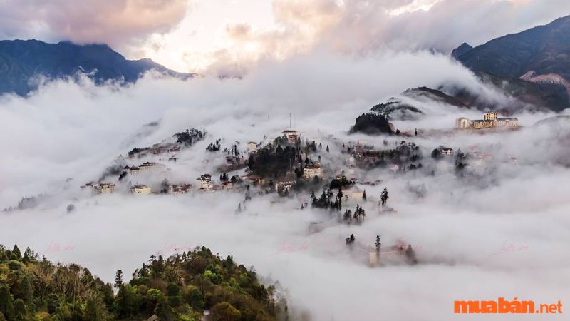 Săn mây trên độ cao hơn 2.000m