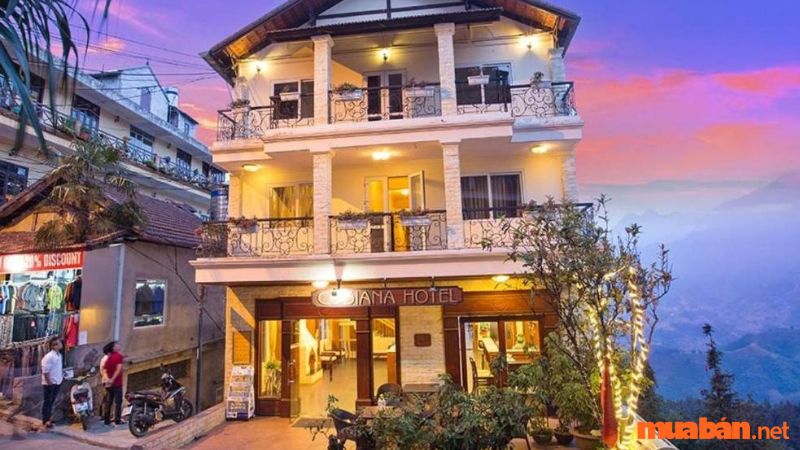 Gợi ý một số khách sạn giá rẻ gần Cổng trời Sapa - Cosiana Hotel Sapa