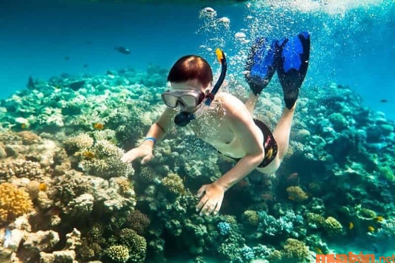 Đến Dăm Ngang - Gầm Ghì bạn sẽ được tham gia lặn biển ngắm san hô