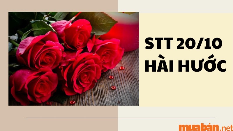 Tổng hợp 70+ stt 20/10 hài hước