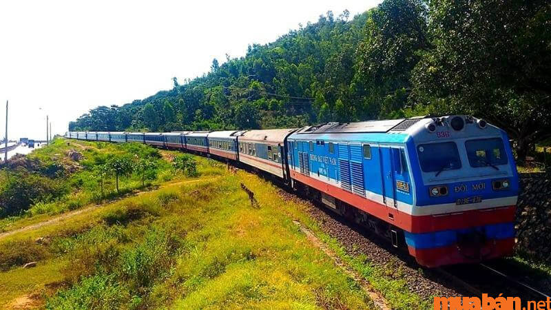 Thông tin về vé tàu Thanh Hóa Hà Nội