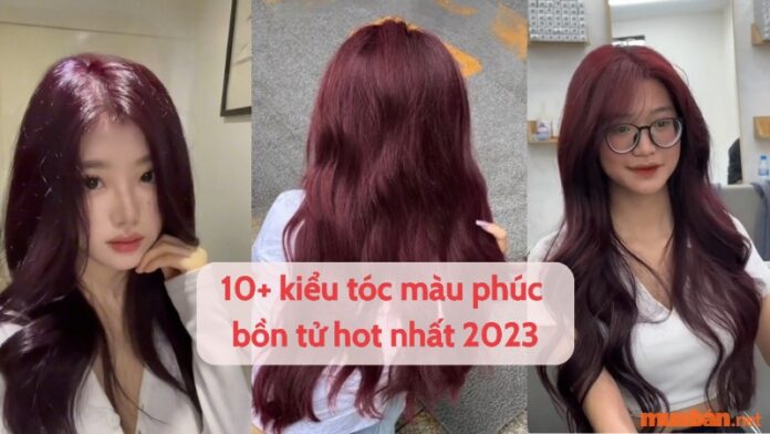 Hãy thử ngay 10+ kiểu tóc màu phúc bồn tử hot nhất 2023 giúp bạn trở nên thu hút