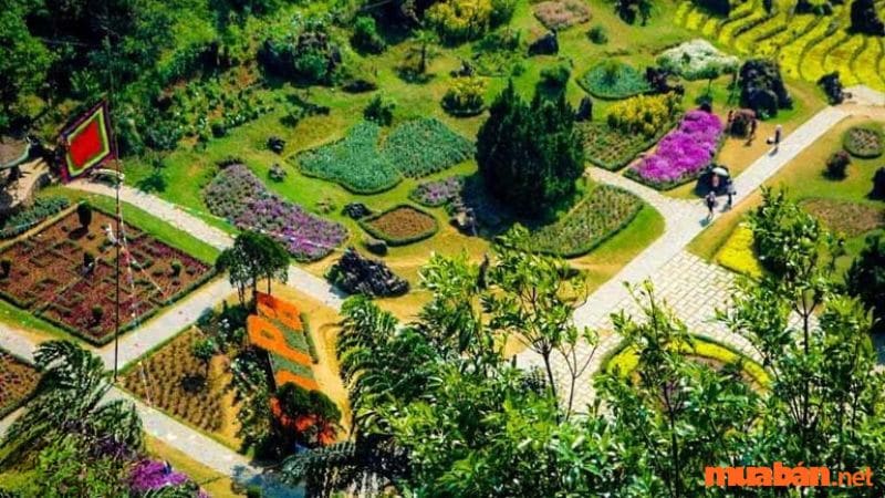 Vườn Hoa Trung Tâm là một bức tranh sống động tại nền cảnh núi Hàm Rồng.