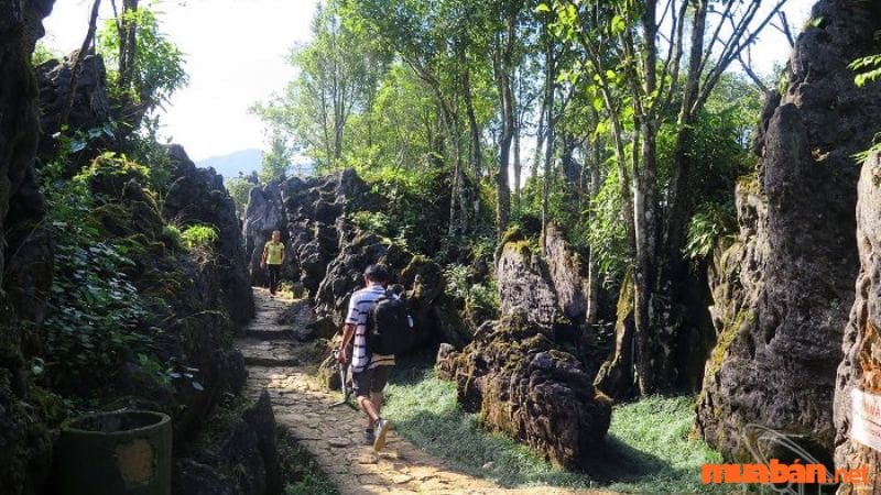 Vườn đá Thạch Lâm được tạo hình bởi thời gian và thế giới tự nhiên, mang vẻ đẹp hùng vĩ và ấn tượng