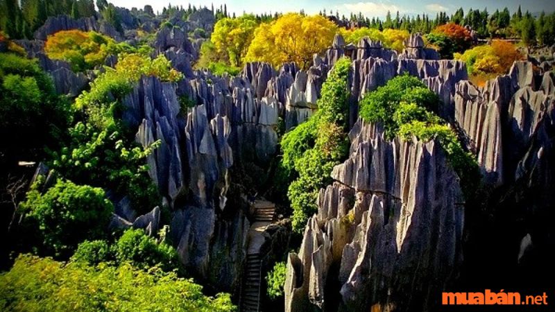 Một trong những điểm nhấn của du lịch Sapa là Vườn đá Thạch Lâm
