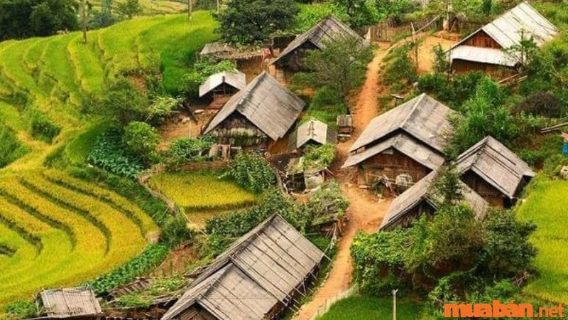 Những mái nhà tranh vách đất đẹp đến nao lòng, mang đậm nét văn hóa của người dân tộc Giáy
