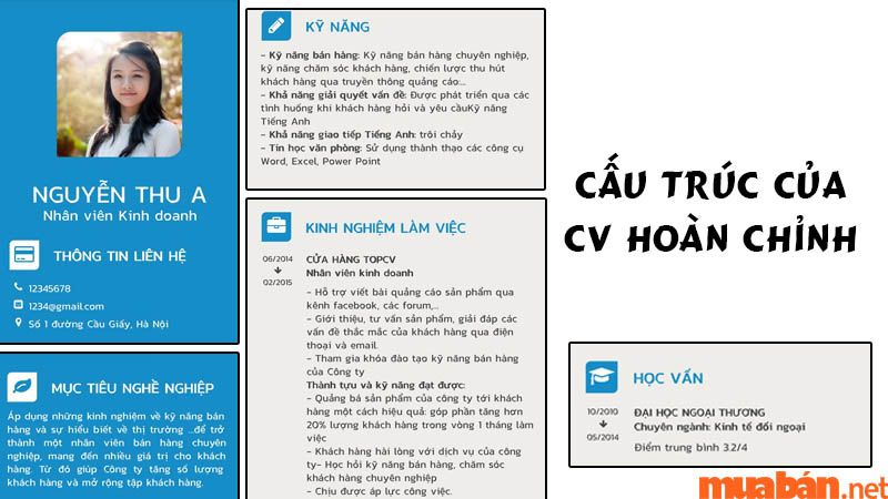 Một CV hoàn chỉnh có cấu trúc gồm 5 phần chính