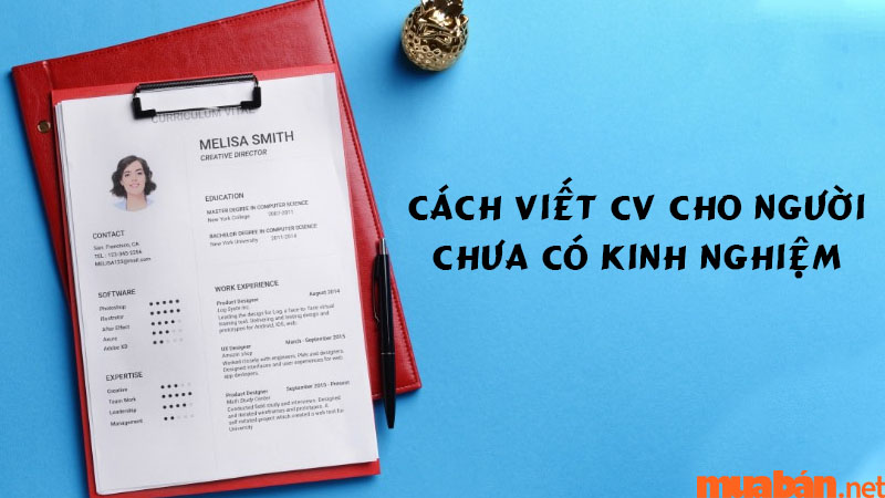 Hướng dẫn cách viết CV cho người chưa có kinh nghiệm gây ấn tượng với nhà tuyển dụng