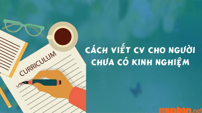 Hướng dẫn cách viết CV cho người chưa có kinh nghiệm gây ấn tượng với nhà tuyển dụng