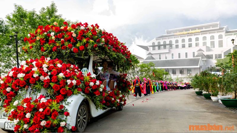 Giá vé tham thung lũng hoa hồng