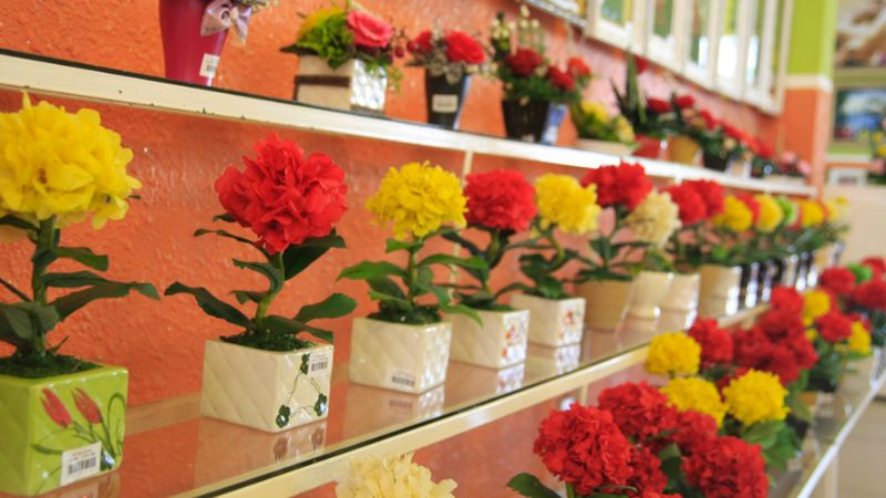 Trải nghiệm tham quan cửa hàng hoa khô lớn nhất Việt Nam