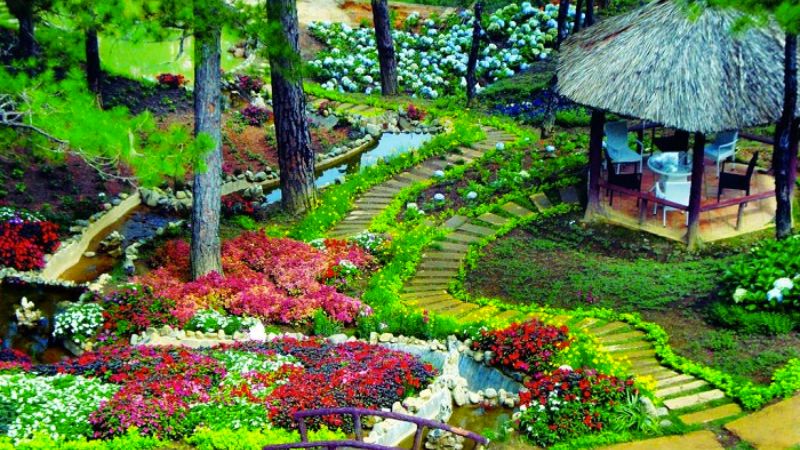 Hình ảnh về khu rừng hoa Đà Lạt 4