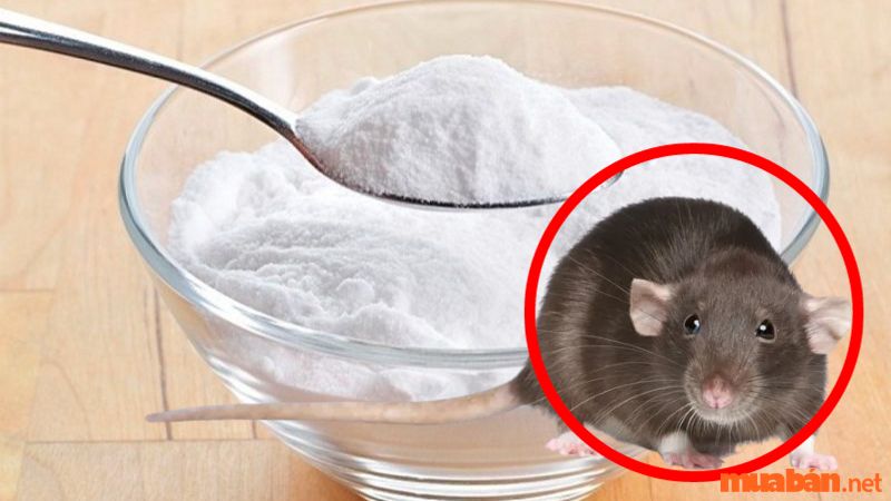 Mẹo đuổi chuột bằng baking soda 
