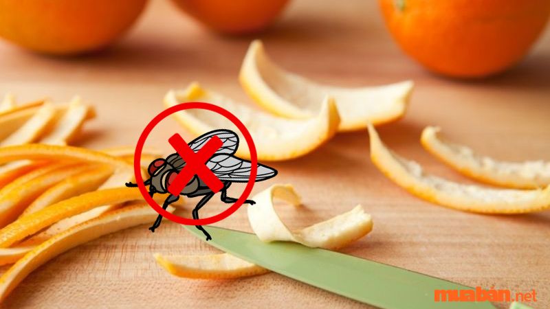 Cách đuổi ruồi bằng vỏ cam, chanh hoặc bưởi 
