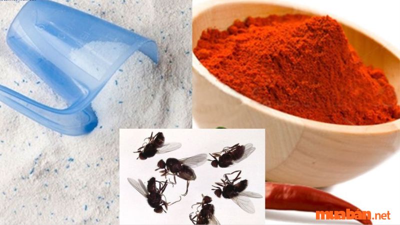 Cách tiêu diệt ruồi tại hỗn hợp bột giặt và bột ớt 