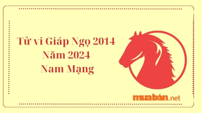 Tử vi Giáp Ngọ 2014 Năm 2024 Nam Mạng