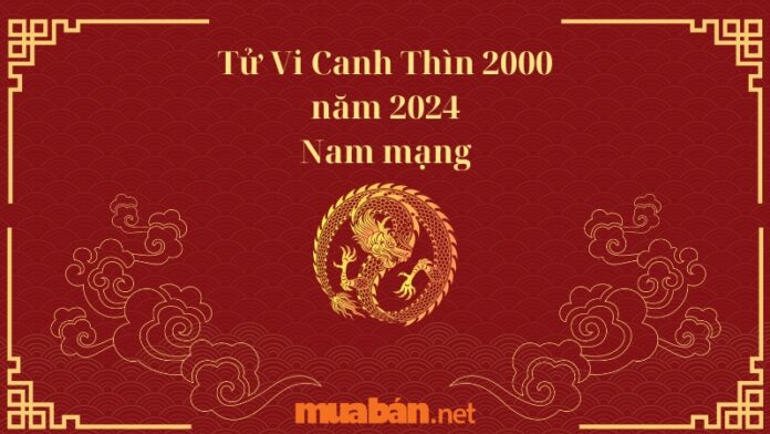 Tử Vi Canh Thìn 2000 năm 2024 Nam mạng