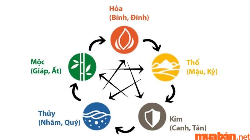 Tử vi Canh Thìn 2000 nam mạng năm 2024 xét theo thiên can