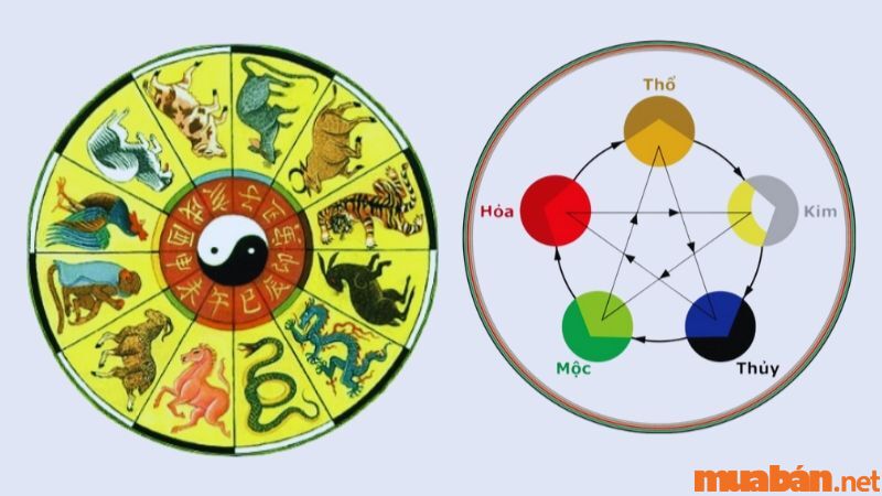 Tử vi Kỷ mùi 1979 nam mạng xét theo địa chi