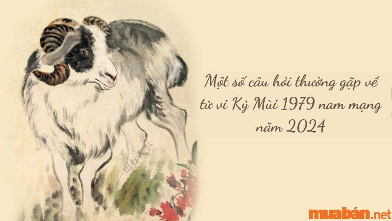 Một số câu hỏi thường gặp về tử vi Kỷ Mùi 1979 nam mạng năm 2024