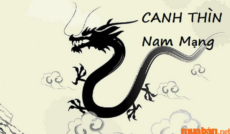 Luận giải lá số Tử vi Canh Thìn 2000 nam mạng năm 2024 theo 12 tháng