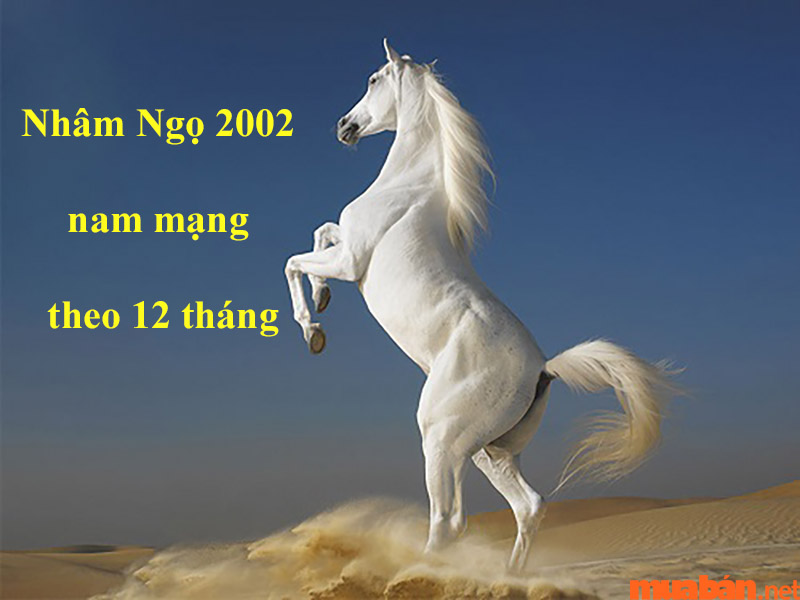 Lá số tử vi của Nhâm Ngọ 2002 nam mạng theo 12 tháng