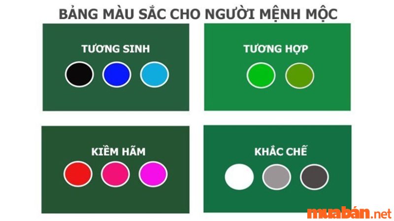 Màu hợp và xung khắc với mệnh Mộc