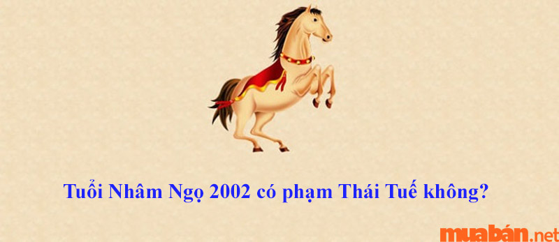 Nhâm Ngọ 2002 nam mạng không phạm Thái Tuế năm 2024