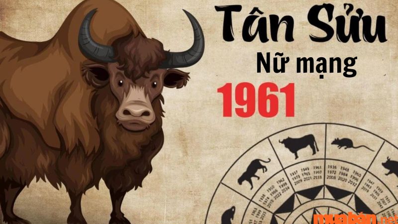 Ngũ hành Tân Sửu 1961 có sự tương sinh với Giáp Thìn 2024