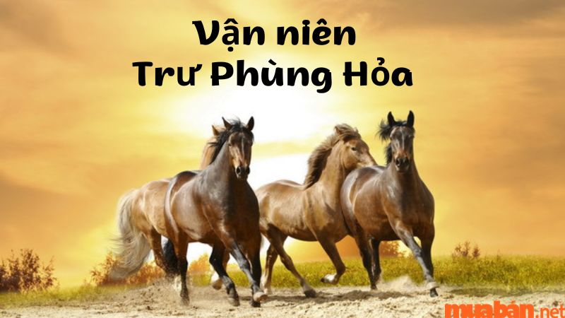 Vận niên Trư Phùng Hỏa xấu