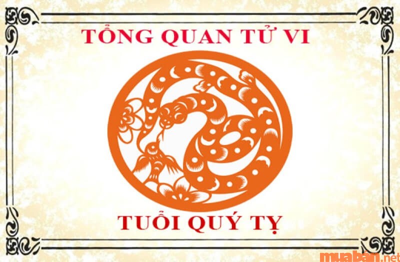 Tổng quan về tuổi Quý Tỵ - 2013