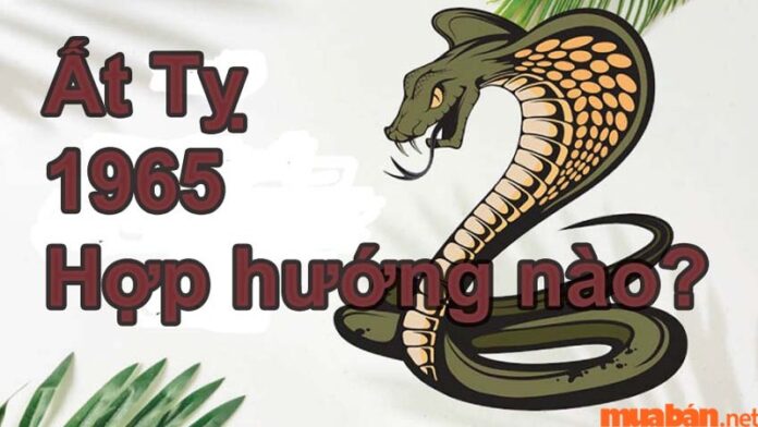 Tuổi Ất Tỵ hợp hướng nào