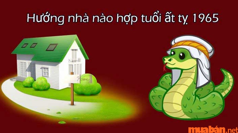 2001 Hợp Hướng Nhà Nào? Bí Quyết Chọn Hướng Mang Lại Tài Lộc