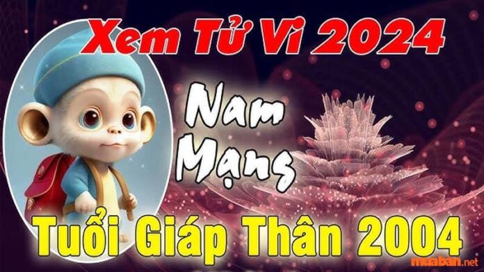 Tử vi Giáp Thân 2004 nam mạng năm 2024: Luận giải chi tiết