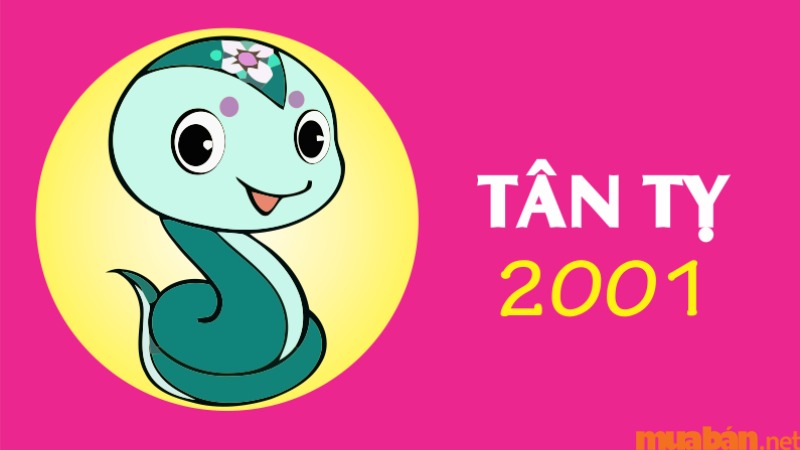 Tử vi Tân Tỵ 2001 nam mạng năm 2024