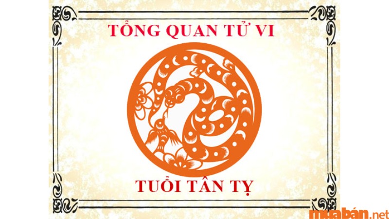 Tổng quan về tử vi Tân Tỵ 2001 nam mạng năm 2024