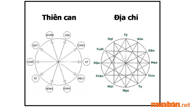 Tử vi Tân Tỵ 2001 nam mạng năm 2024 xét về tài chính