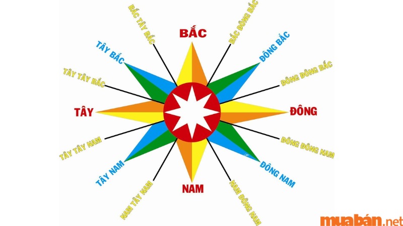 Tử vi Tân Tỵ 2001 nam mạng năm 2024 xét theo cung phi