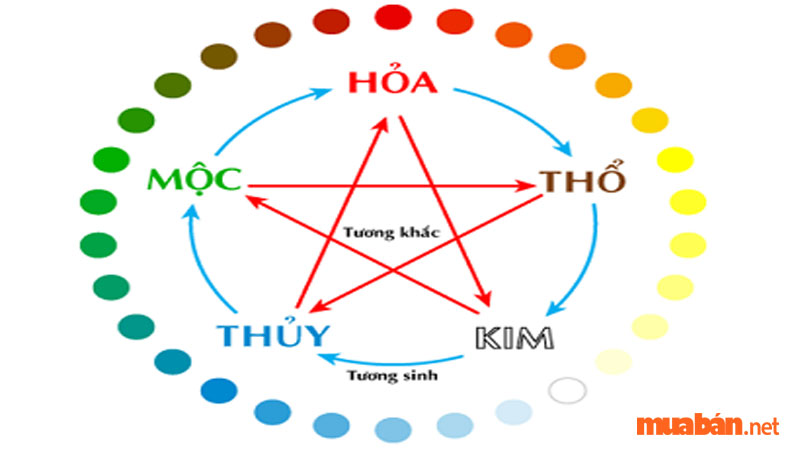 Tử vi Giáp Thân 2004 nam mạng năm 2024 nên lựa chọn các màu sắc tương đồng với mệnh Hỏa và Thủy