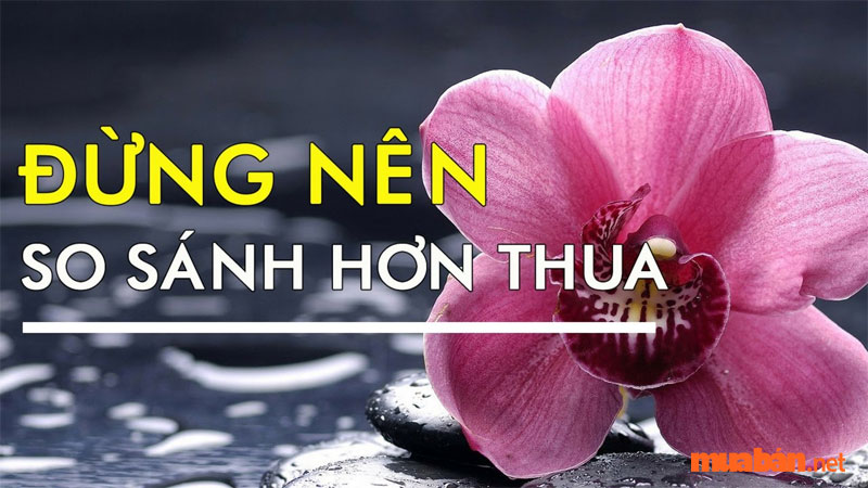 Tử vi Giáp Thân 2004 nam mạng năm 2024 mệnh chủ không nên hơn thua so thiệt