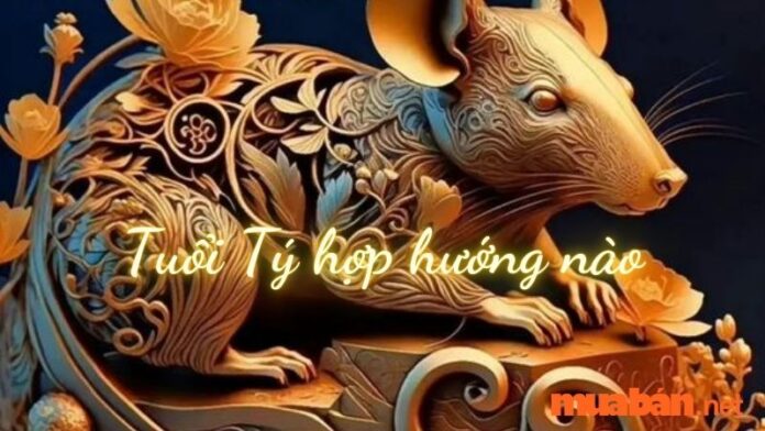 Tuổi Tý hợp hướng nào? Hướng nhà tài lộc cho người tuổi Tý