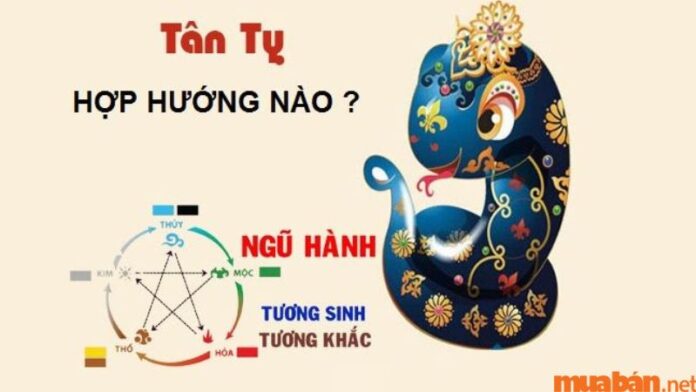 Tuổi Tân Tỵ hợp hướng nào?