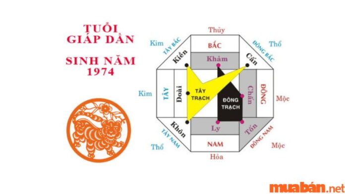 Tuổi Giáp Dần Hợp Hướng Nào?