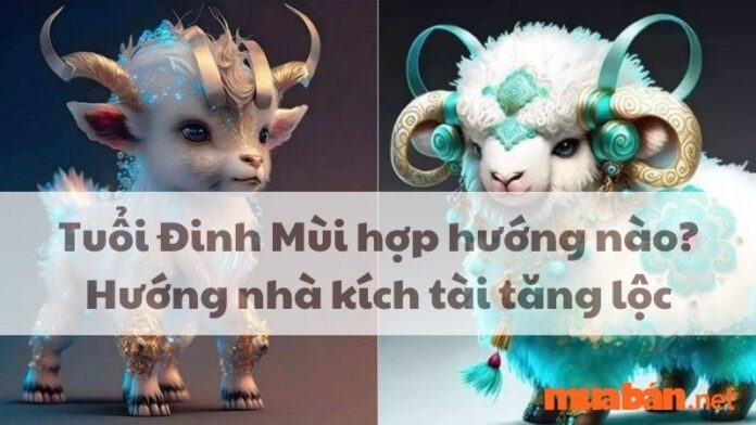 Tuổi Đinh Mùi hợp hướng nào? Hướng nhà kích tài tăng lộc