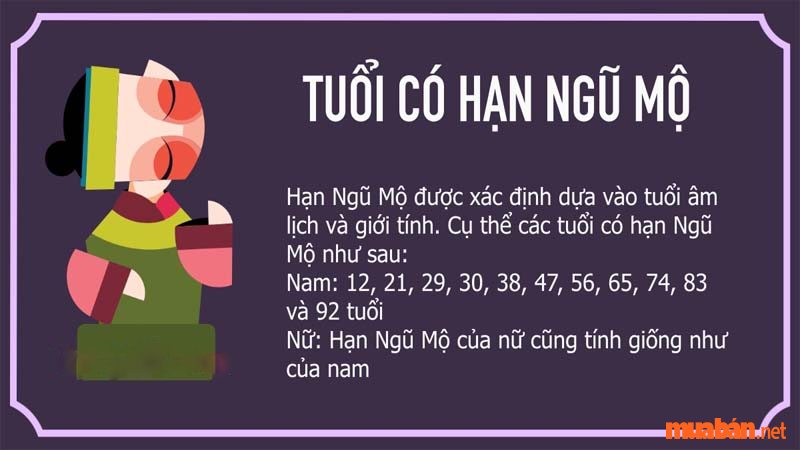 Tử vi Ất Hợi 1995 nam mạng năm 2024 gặp Hạn Ngũ Mộ