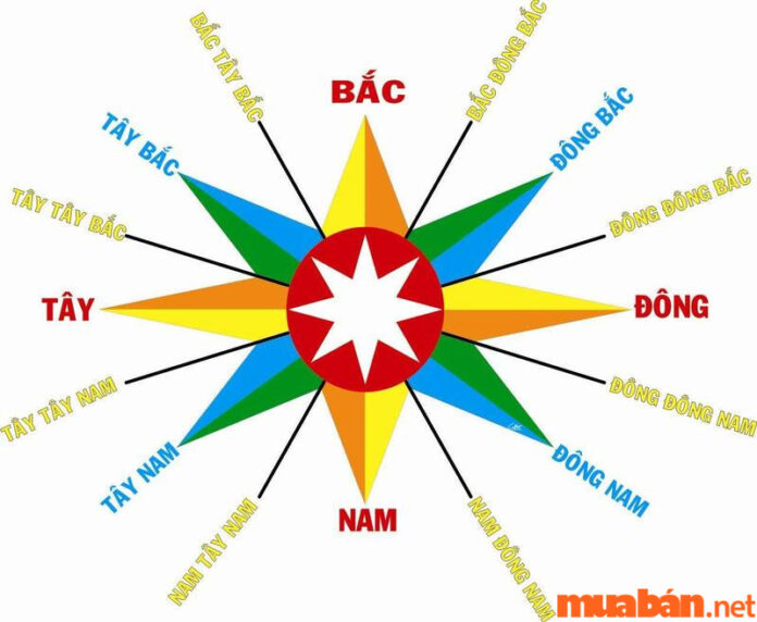 Luận Giải Chi Tiết Tử Vi Quý Sửu 1973 Nữ Mạng Năm 2024