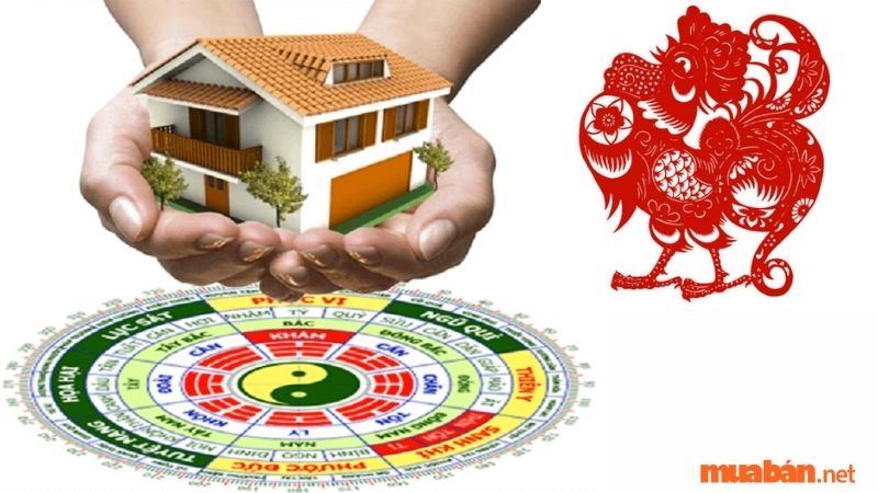 Tuổi Ất Dậu Hợp Hướng Nào? Hướng Nhà Kích Tài Tăng Lộc